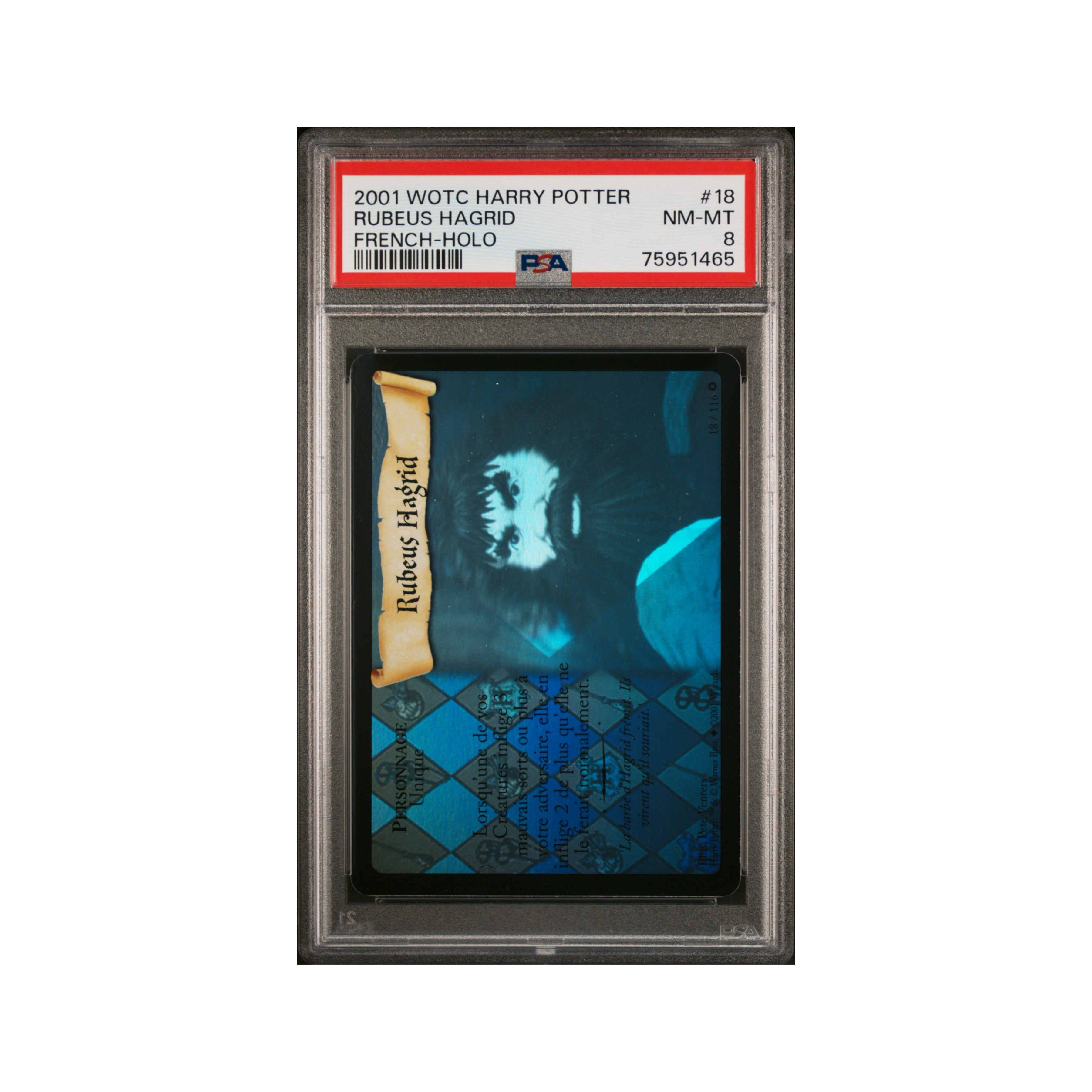 Harry Potter FR Rubeus Hagrid holographique PSA 8